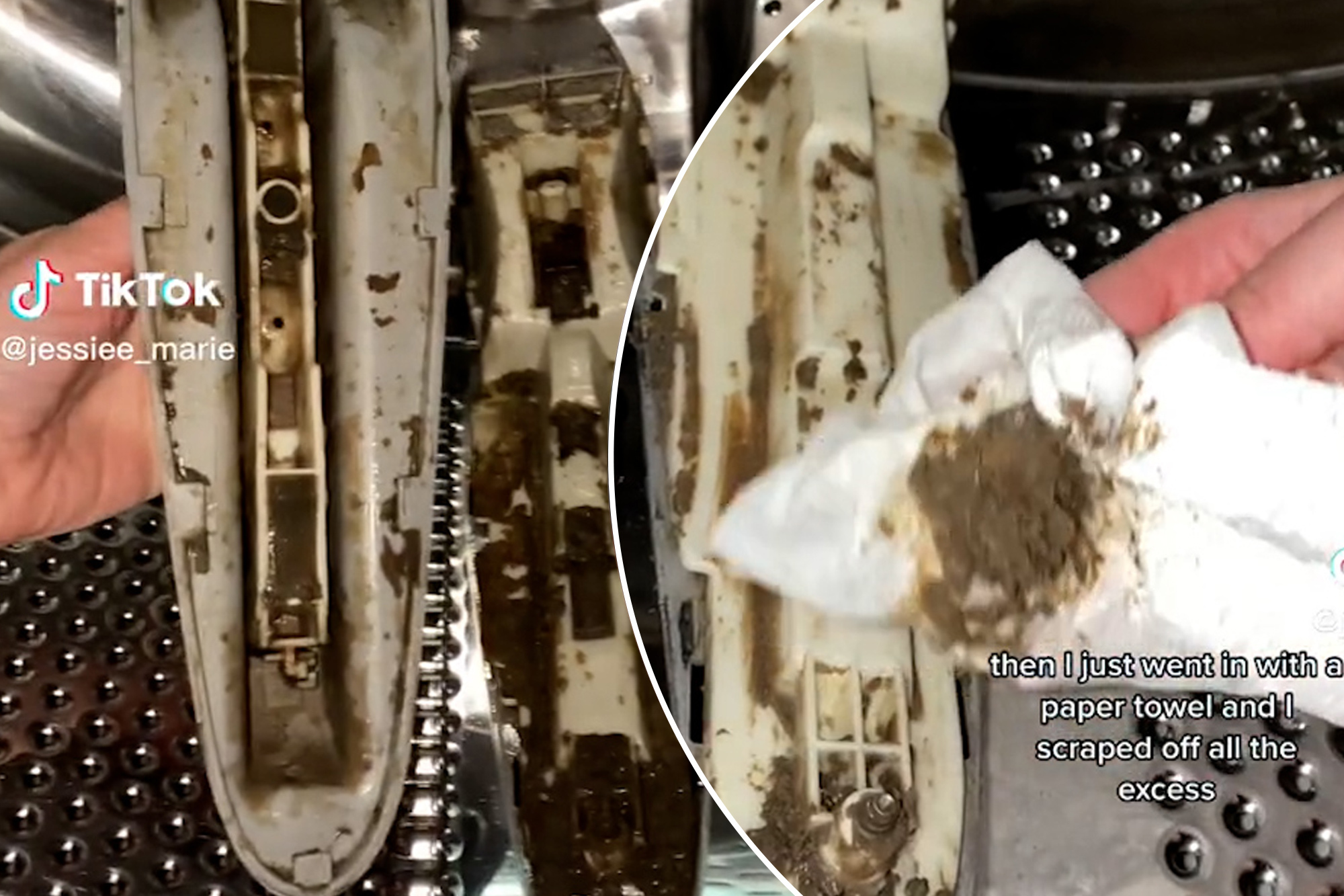 TikTok video discovers gross washing machine compartment full of grime