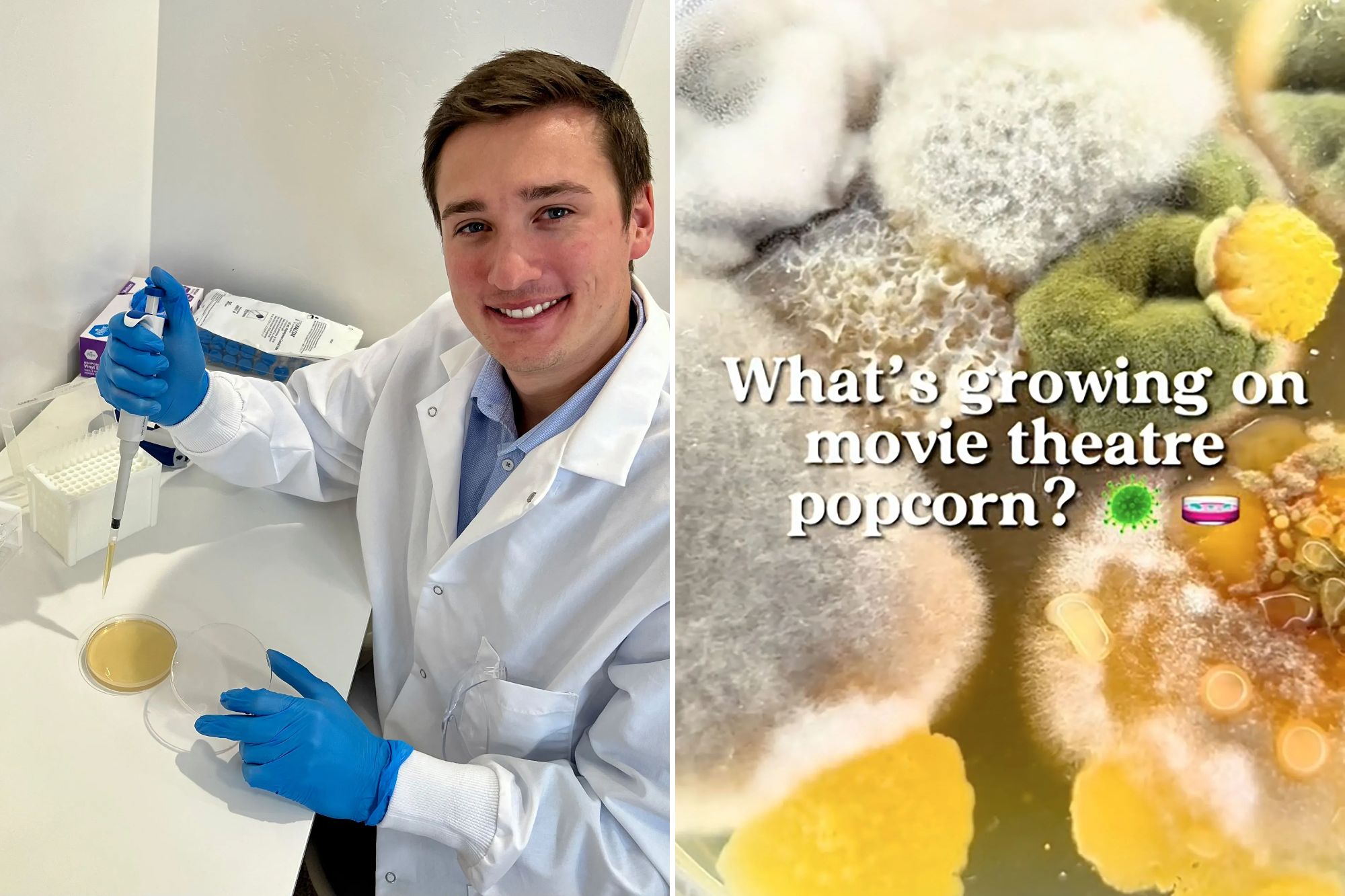 movie theater popcorn bacteria test